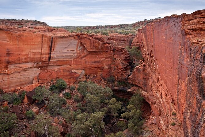 Uluru, Kata Tjuta and Kings Canyon Camping Safari From Ayers Rock - Famous Attractions in the Red Center