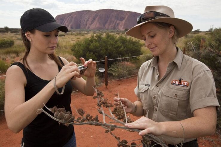Uluru: Small Group Guided Tour With Sunset Refreshments - Tour Duration and Language Options