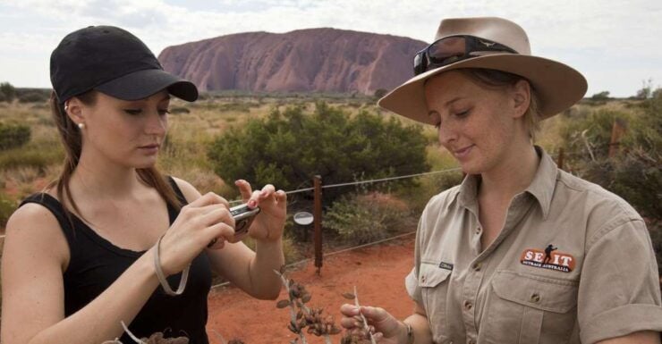 Uluru: Small Group Guided Tour With Sunset Refreshments - Pickup and Accessibility Details