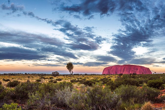Uluru Sunset BBQ - Overview of Uluru Sunset BBQ