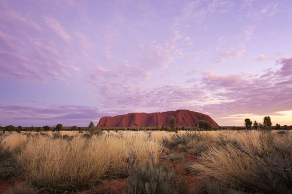 Uluru: Sunset, Sparkling Wine, Cheeseboard & Gourmet BBQ - The Sum Up
