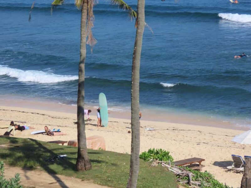 Uluwatu Bali Surf Lessons  Beginners & Intermediate Surfers - Final Thoughts: Who This Experience is Best For