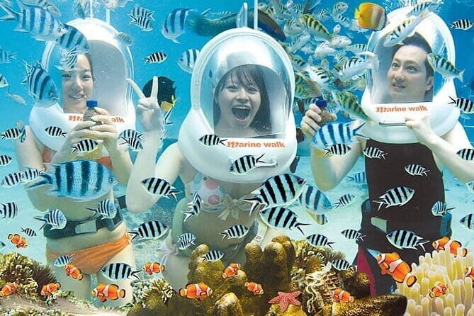 Uluwatu Temple and Kecak Dance Sunset Private Tour - A Deep Dive into the Tour Experience