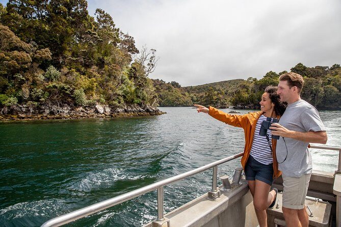 Ulva Island Explorer from Stewart Island - The Cruise: Scenic Views and Wildlife Spotting