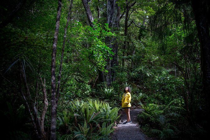 Ulva Island Explorer from Stewart Island - Who is This Tour Best For?