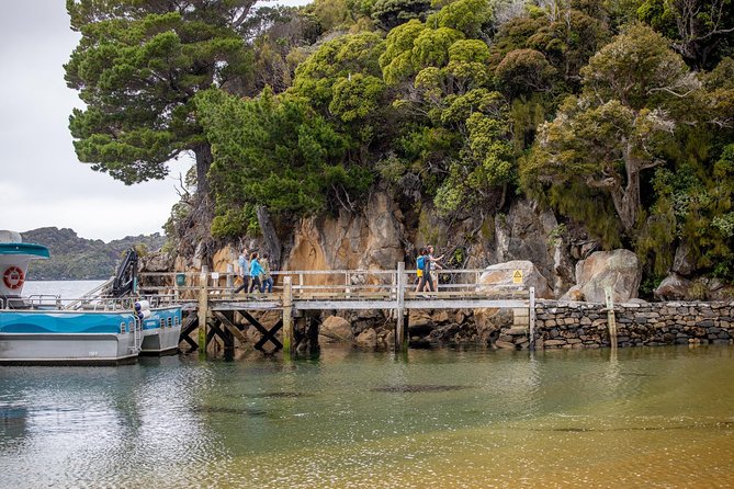 Ulva Island Explorer From Stewart Island - Reviews