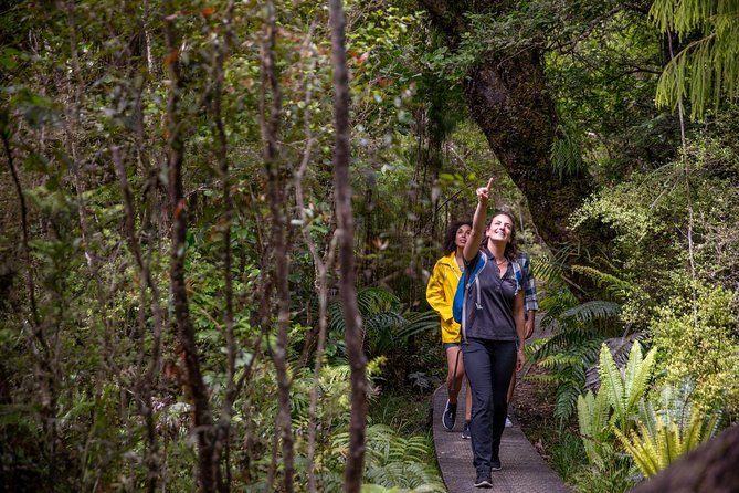 Ulva Island Explorer From Stewart Island - The Sum Up