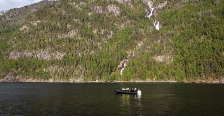 Ulvik Fjord Cruise: Scenic RIB Adventure to Osafjord - Experience Highlights