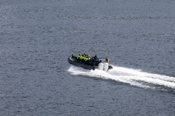 Ulvik: Hardangerfjord and Osafjord RIB Tour - Review Summary