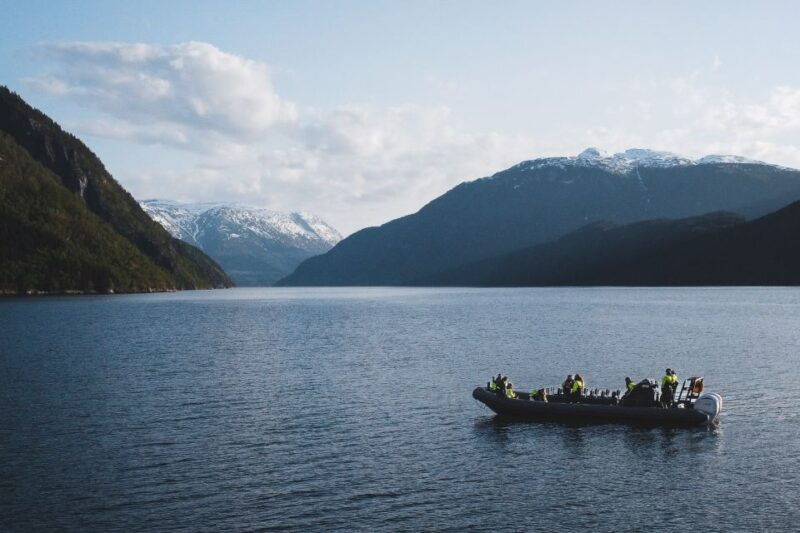 Ulvik: Hardangerfjord Ultimate RIB Safari - Who Should Consider This Tour?