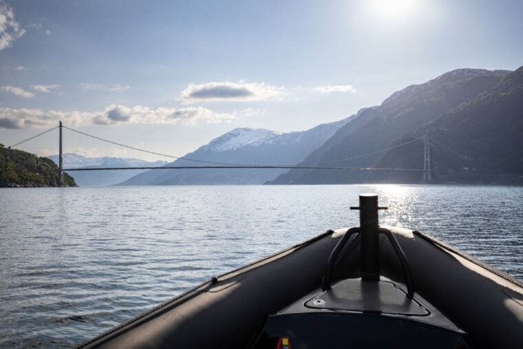 Ulvik: Hardangerfjord Ultimate RIB Safari - FAQ