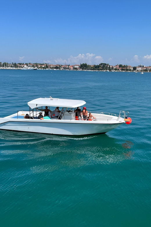 Umag: Dolphinwatching & sunset panorama tour - Final Words