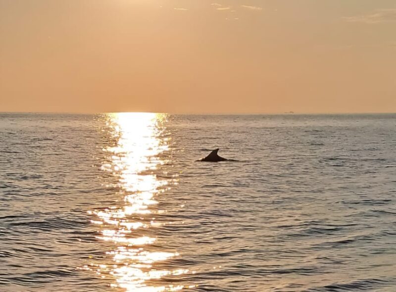 Umag; private boat rental with captain - The Sum Up