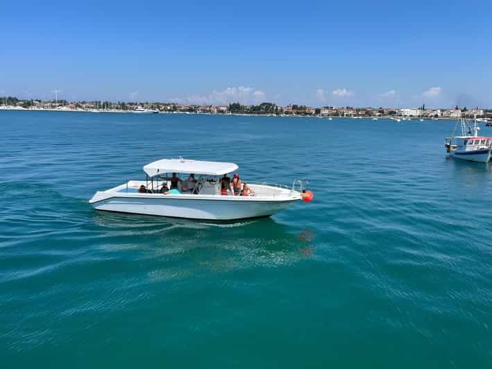 Umag: Snorkeling & dolphinwatching morning boat tour - Good To Know