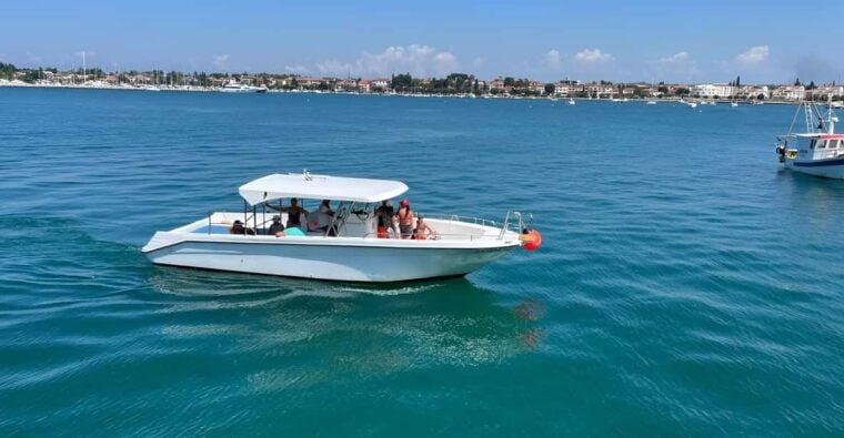 Umag: Snorkeling & dolphinwatching morning boat tour - Authentic Experiences from Reviews