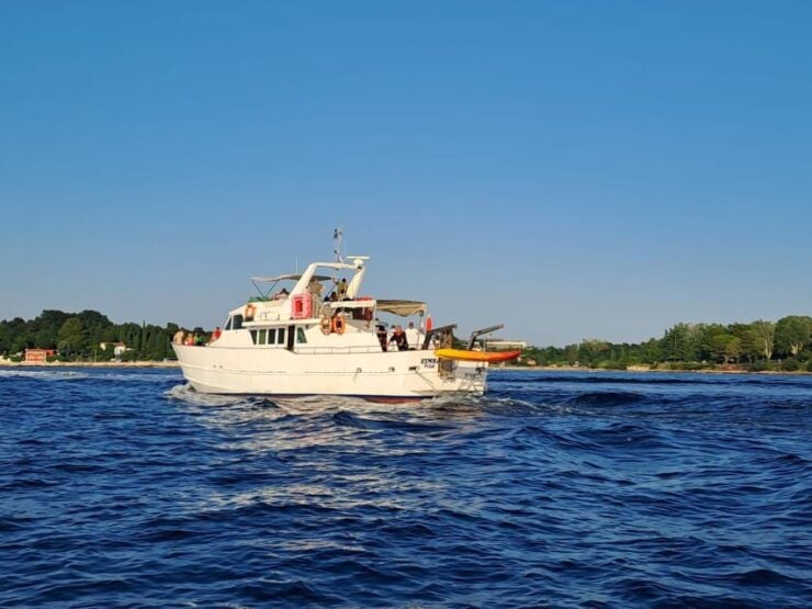Umag: Sunset Cruise With Dolphin Spotting - Highlights