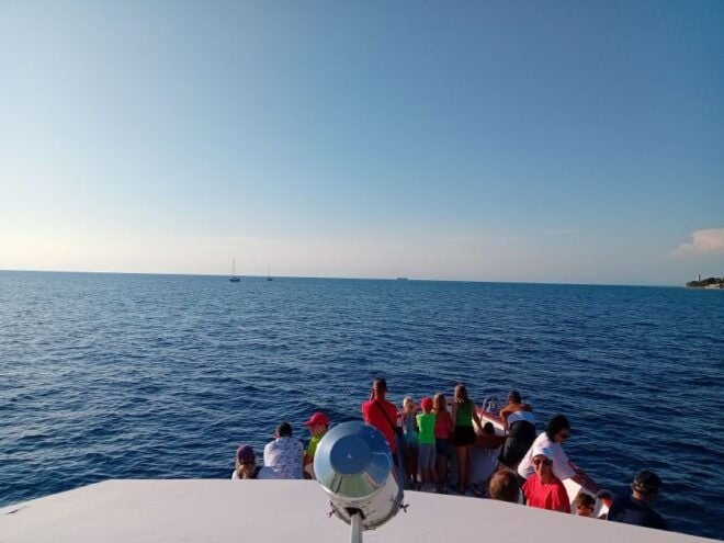 Umag: Sunset Cruise With Dolphin Spotting - Reservations and Cancellation