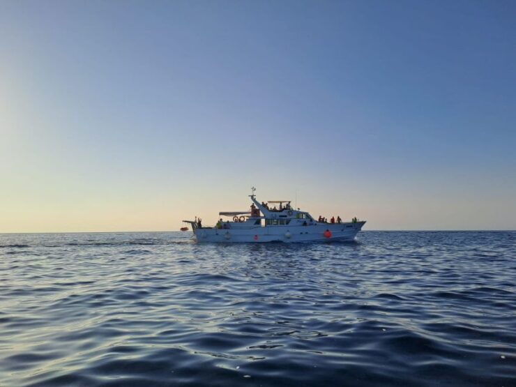 Umag: Sunset Cruise With Dolphin Spotting - Activity Details