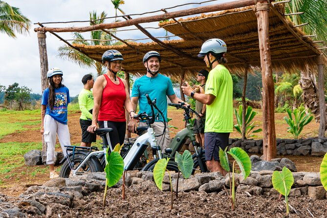 Umauma Falls eBike Tour in Hakalau - Exploring the Itinerary in Detail