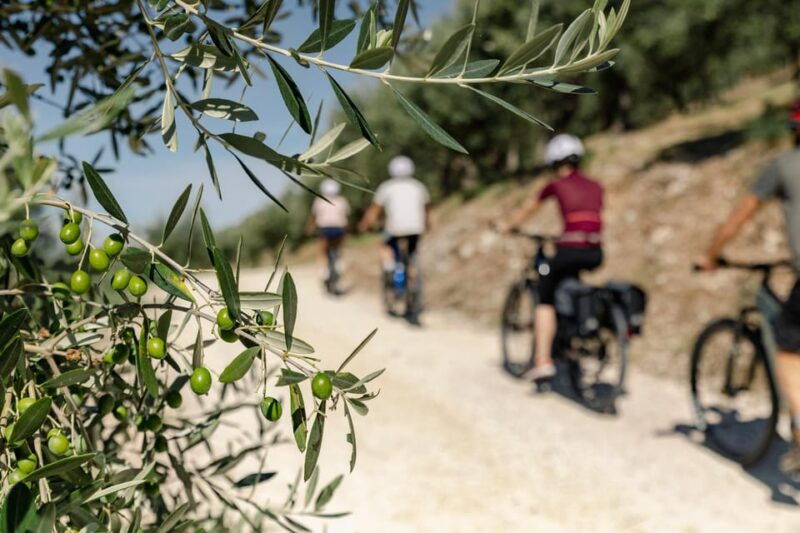 Umbria: E-Bike Rental and Fresh EV Olive Oil Tasting - Good To Know