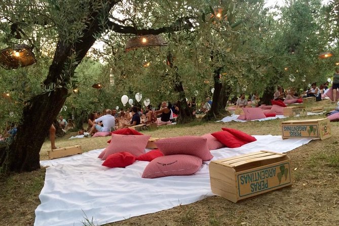 Umbria - Gourmet Picnic Among The Olive Trees - The Sum Up