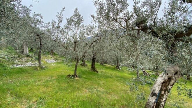 Umbria: Menotre Valley and Rasiglia Hiking Tour With Lunch - What to Bring