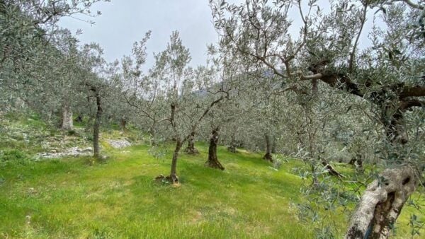 Umbria: Menotre Valley and Rasiglia Hiking Tour With Lunch - Frequently Asked Questions