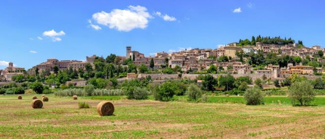 Umbria: Spello to Assisi Trekking on Mount Subasio + Lunch - Languages and Experience