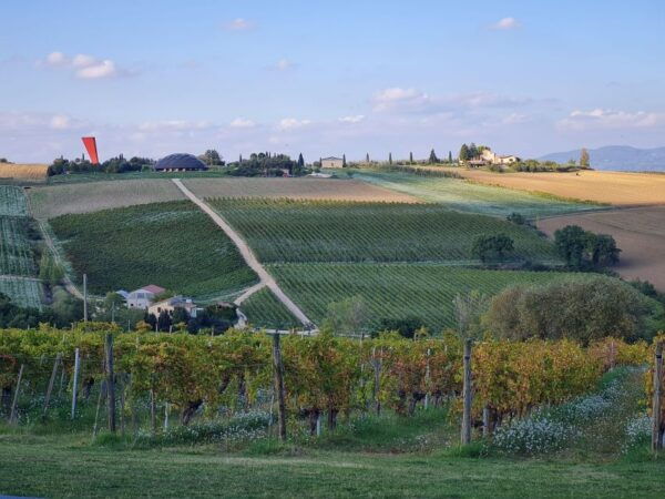 Umbria Wine Lovers Tour L Bevagna & Montefalco L Small Group - Experience Description