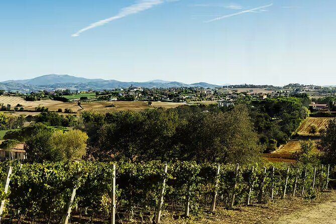 Umbria: Wine Tasting Tour with Regional Pairings near Perugia - Who Would Love This Experience?