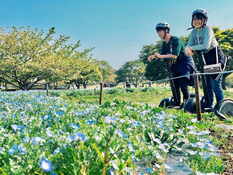 Uminonakamichi Seaside Park Segway Tour in Fukuoka - Training turns first-timers into riders