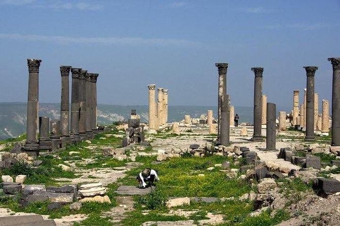 Umm Qais, Ajloun and Jerash Full-Day Tour From Amman - Transportation Details