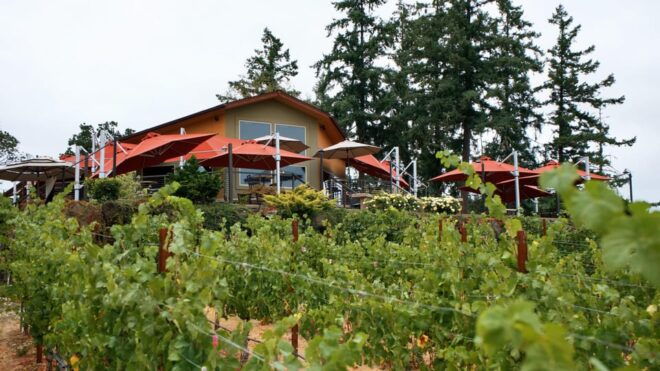 Umpqua Valley, OR: Digital Wine Tasting Pass - Important Information