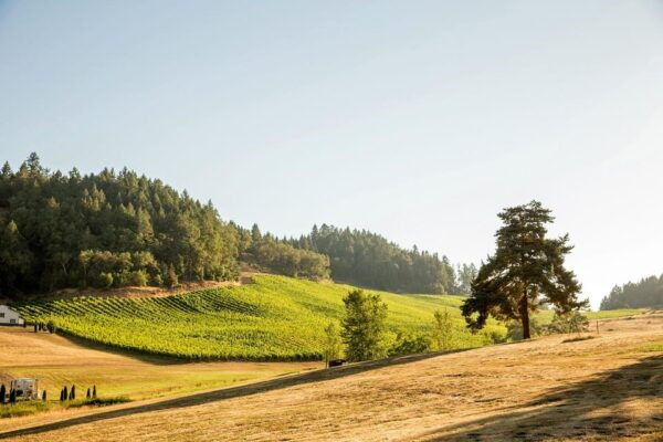 Umpqua Valley, OR: Digital Wine Tasting Pass - Frequently Asked Questions
