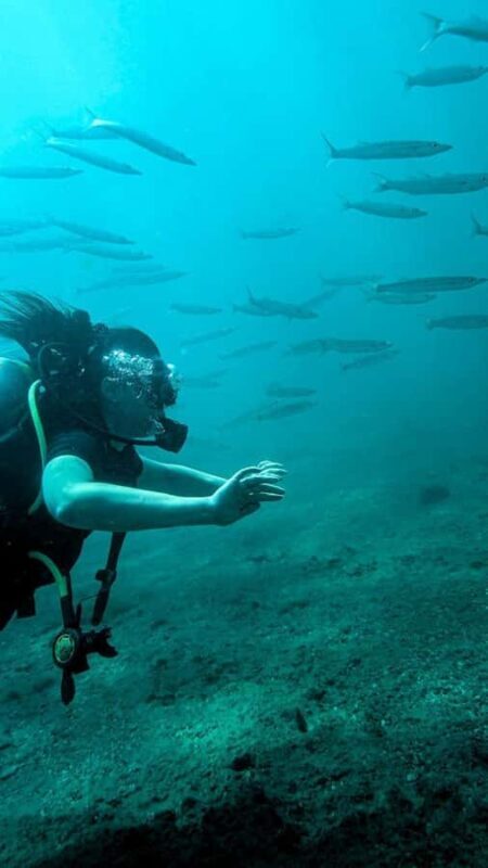 Unawatuna: Discover Scuba Diving Experience for Beginners - An In-Depth Look at the Unawatuna Discover Scuba Tour