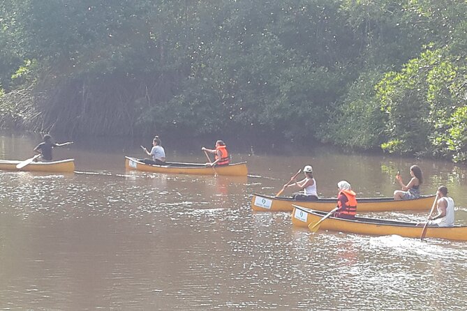 Unawatuna Lagoon Canoeing Excursion - Cancellation Policy Information