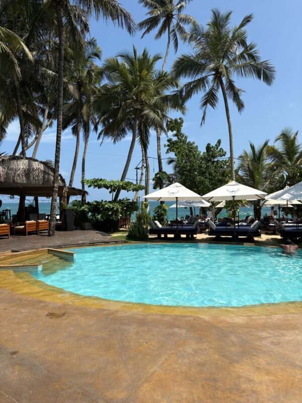 Unawatuna: The Angel Beach Dip&Dine and Cocktails Experience - An In-Depth Look at the Experience