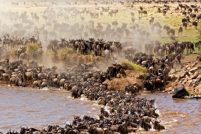 Unbelievable Trip To The Great Migration And River Crossing - Good To Know
