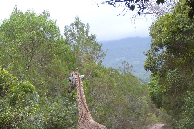 Unbelievable Trip To The Great Migration And River Crossing - Customer Reviews