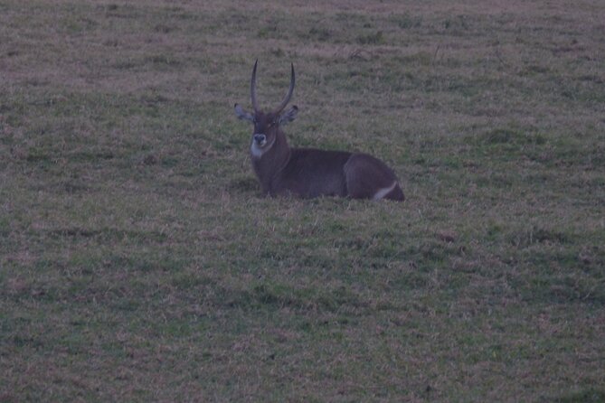 Unbelievable Trip To The Great Migration And River Crossing - Frequently Asked Questions