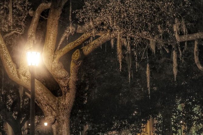Uncensored Zombie Night-Time Walking Ghost Tour of Savannah (Ages 18) - Additional Information