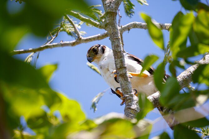 Uncharted Mayan Ruins - A Deep Dive into the Uncharted Mayan Ruins Tour