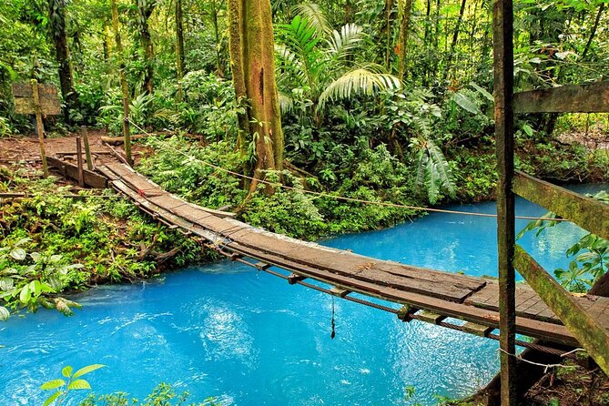 Uncover Costa Rica's Rio Celeste Adventure Hub - Tour Details
