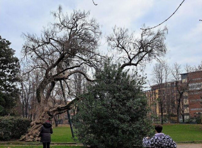 Uncover Hidden Milan: A Self-Guided Audio Tour - Reservations