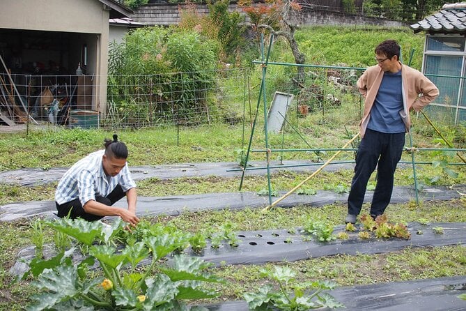 Uncover Local Japans Hidden Charms on a Farm Stay Getaway - Farmstay Accommodation Options