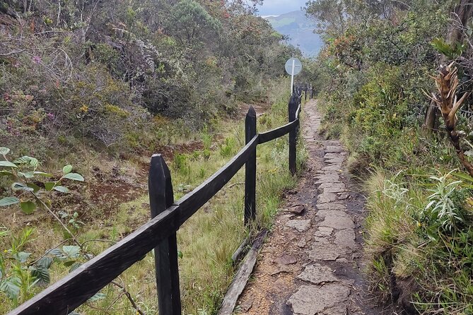 Uncover Mysteries:** Private Tour Reveals Hidden Gems - Tour Destinations