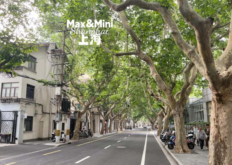 Uncover Shanghai's Heritage in French Concession Hidden Gems - Discover the Hidden Layers of Shanghai’s French Concession