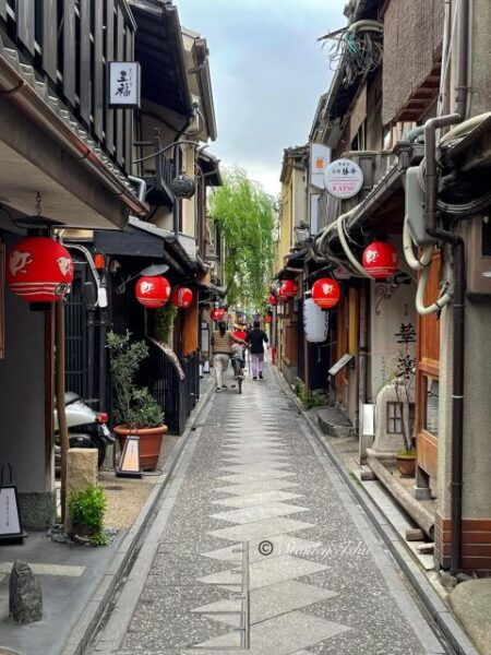 Uncover The Best Foodie Spots In Kyoto Pontocho With Guide - Guided Walking Tour