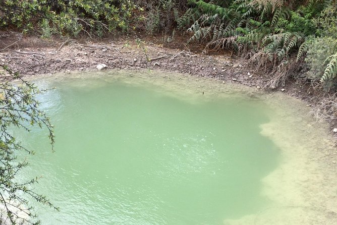Uncover the Hidden Wonders of Rotorua - Cultural Experiences in Rotorua