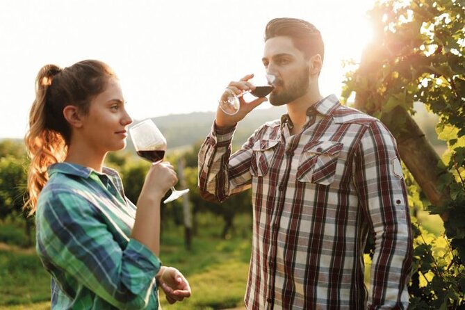 Uncover the Secrets of Chianti: Afternoon Wine Tour From Florence - Famous Wineries in the Chianti Wine Region